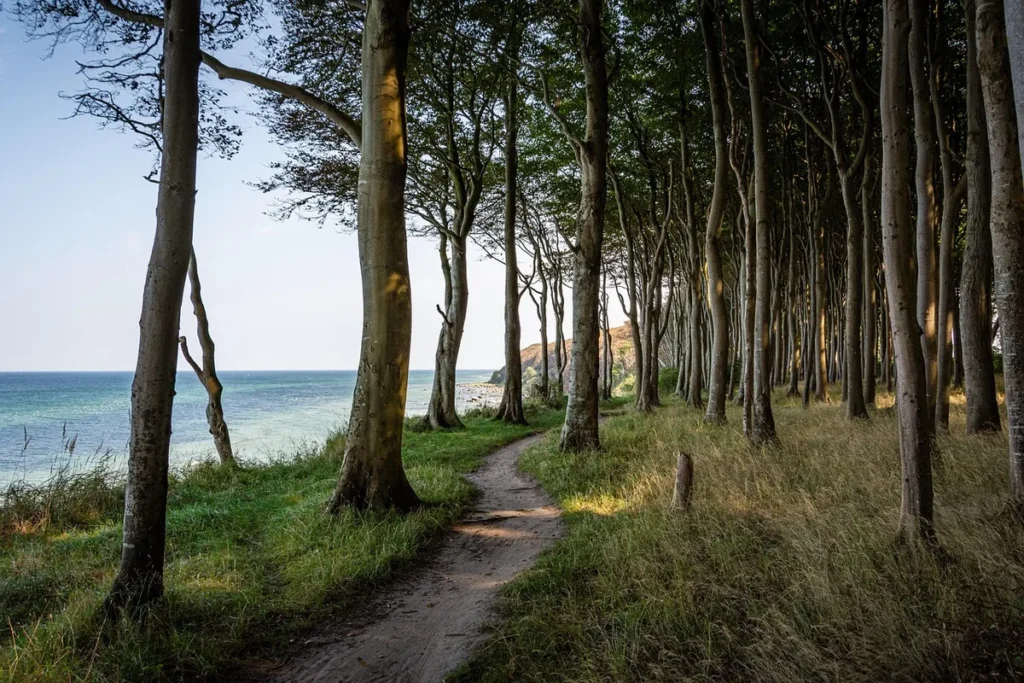 Explorer le Sentier de Rivolan, sentier côtier intimiste près de Cannes